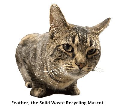 Feather - Taos County